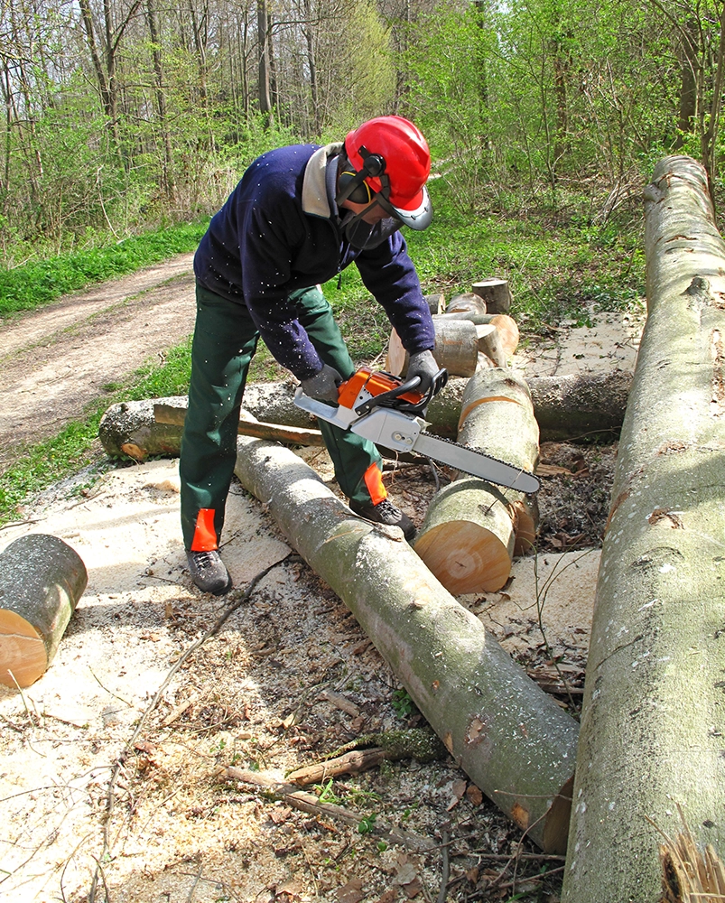 banner_quem somos_2_juruna