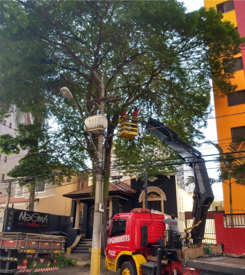 Cortes e Podas de Árvores