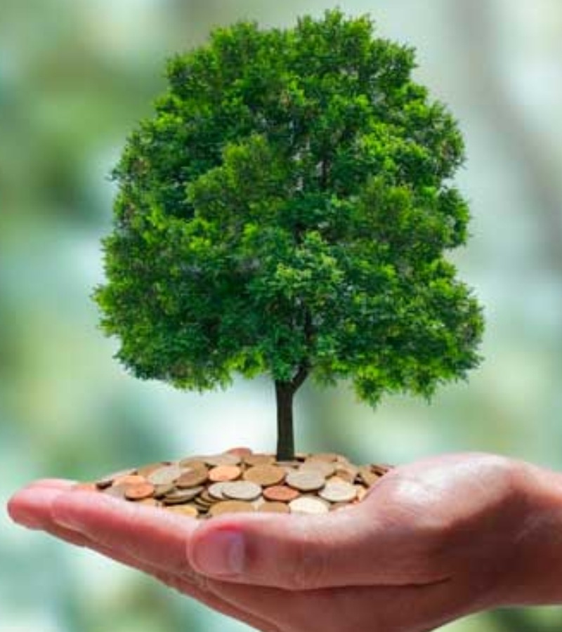 Licenciamento ambiental