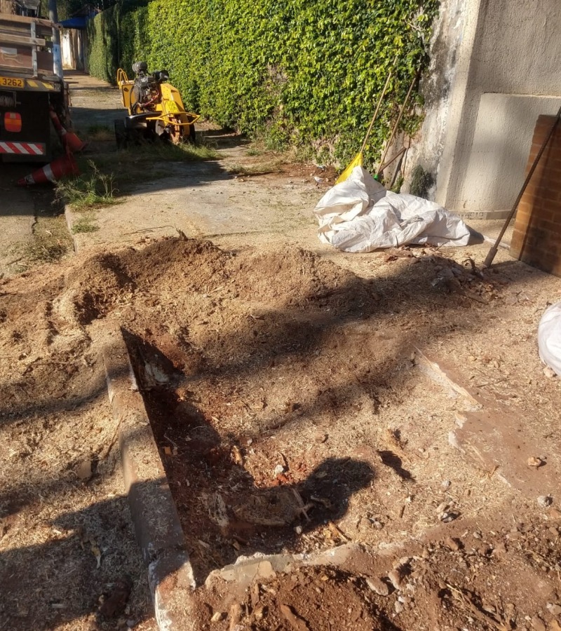 Rebaixamento de toco